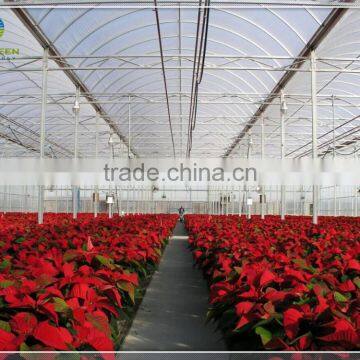 Hot sale flower polycarbonate tunnel greenhouse