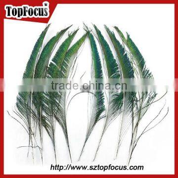 Cheap Down Raw Material Green Natural Peacock Feather for Sale photo-5