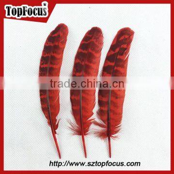 Reeves Cheap Natural Pheasant Tail Pheasant Feather for Sale photo-3