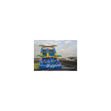 Outdoor Forest Winflatable Water Slide Promotion For Kids Birthday Party