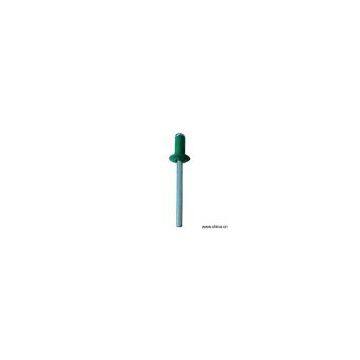 Sell Color-Coated Blind Rivets