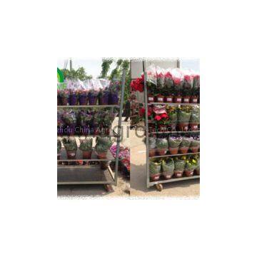 Flower Cart