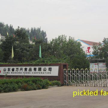 Qingdao Manhang International Trade Co.,Ltd company overview - view 3