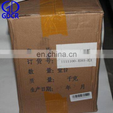 VE2201 ELECTRONIC CONTROL VE PUMP VE4/11E1700LLD04 1111100-E03-E1 for Great wall GW2.8TDI-2