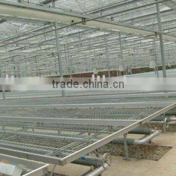 agriculture planting facility seed bed benches