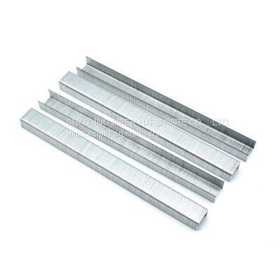 Hardware Fastener Nails Factory Price Durable Quality Model 13series 13/6 13/8 131/6 131/8 Furniture Staples photo-4