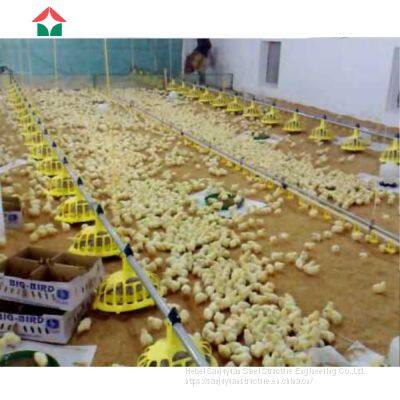 China Made Commercial Chicken House Used photo-2