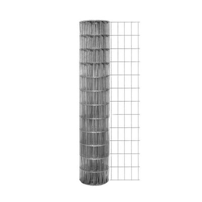 Galvanized Welded Wire Mesh