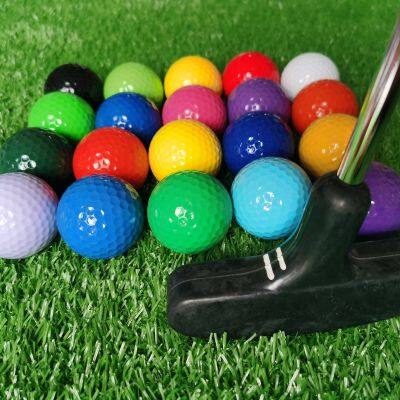 Adult Black Mini Golf putters