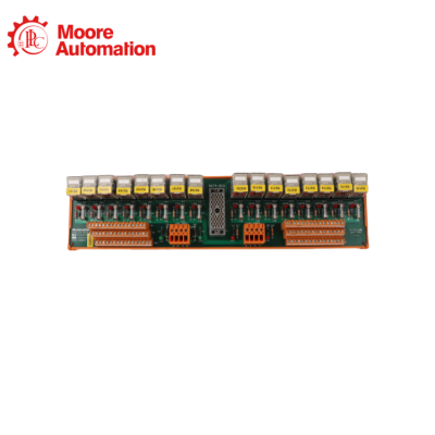 Triconex 9674-810 Terminal Board