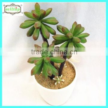 18cm new design hot sale artificial succulent plants