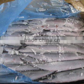 Seafrozen Pacific Saury wr photo-4