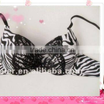 Fashion Leopard Printed Bras Extreme Push Up Bras photo-2