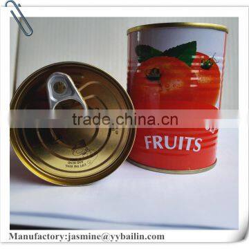 Fresh tomatoes bailin canned tomato paste