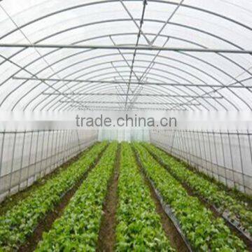 Greenhouse Film