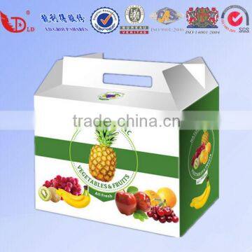 Corrugated Apple Fruit Packaging Box for Shipping on Hot Sale photo-5