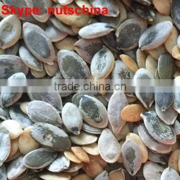 Pumpkin Seeds GWS AAA/AA/A/ Oil Grade photo-2