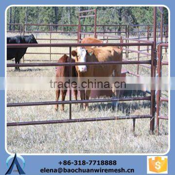 rail fence and corral horse fence