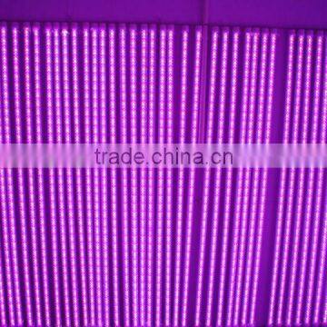 3528 led plant growing Light T8 Tubes