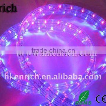 Purple led rope light