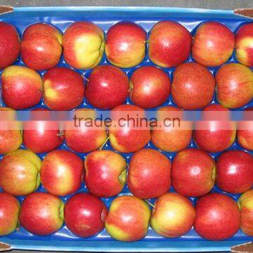 Royal Gala Apples