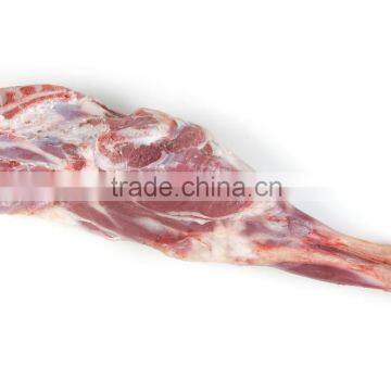 Frozen Mutton Leg. Bone in