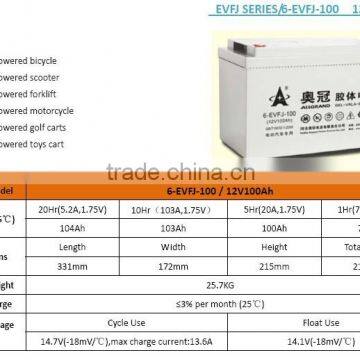 Electric Golf Carts 12V100Ah / Electric Car Battery/electric Vehicle Battery photo-2