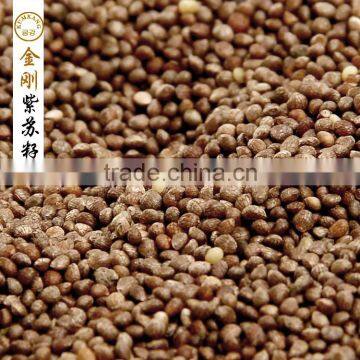 Delicious Chinese High Quality Peeling Perilla Seed photo-5