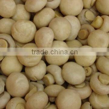 High Quality Canned Mushroom With Best Price for Sale