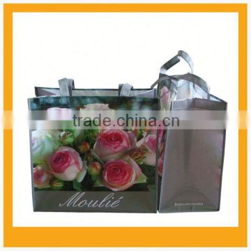 Eco bag promotional bag nonwoven