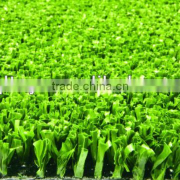 natural garden carpet grass