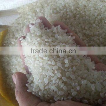 Vietnam Round Grain Rice 5% Broken (Japanese Rice)