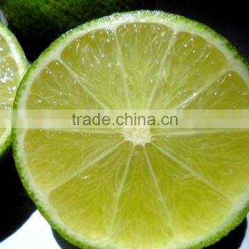 Fresh Lemon/ seedless Lime With best price Viet Nam