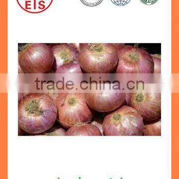 Export China Fresh Organic New Crop Red and Yellow Onion photo-5