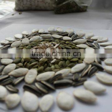 Wholesale Delicious Sunflower Seeds photo-6