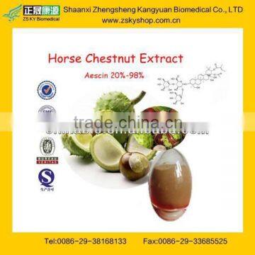 GMP Factory Supply Best Quality Horse Chestnut Dry Extract