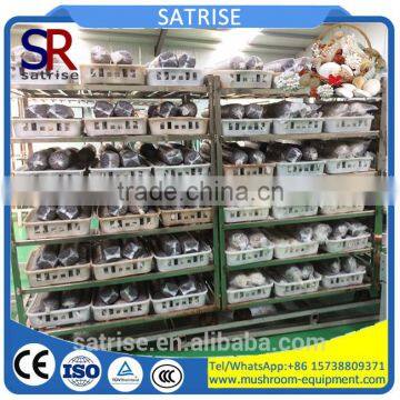 Heavy Duty Cold Storage Mushroom Growing Shelves photo-3