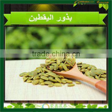 China Pumpkin Kernel High Quality Big Quantity Grade AA photo-5