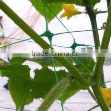 Plant Support Netting