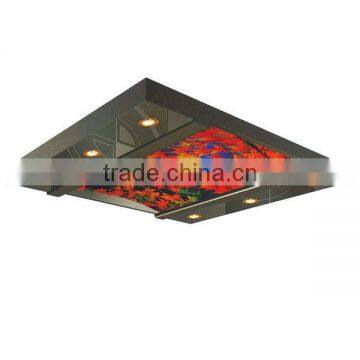 Yuanda fall ceiling