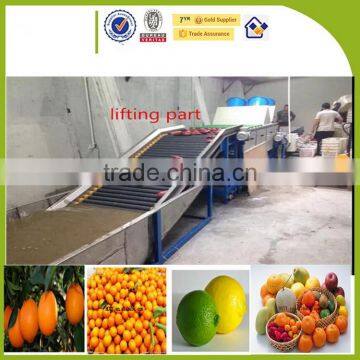 fruit washing waxing drying grading line