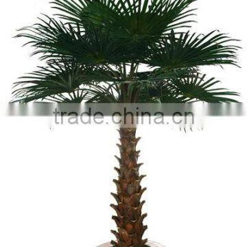 Wholesale Fiber Glass and Plastic Palm Tree Chinese Goods Tall Palm Trees photo-4