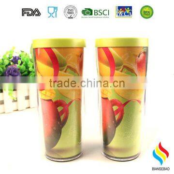 Clear Insulated Plastic Tumbler With Paper Inserts