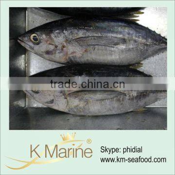 2kg up Frozen Albacore Tuna Fish lot number#kmw4012