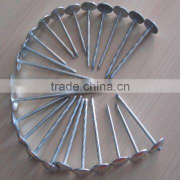 High Quality Umbrella Head Galvanized Roofing Nail photo-2