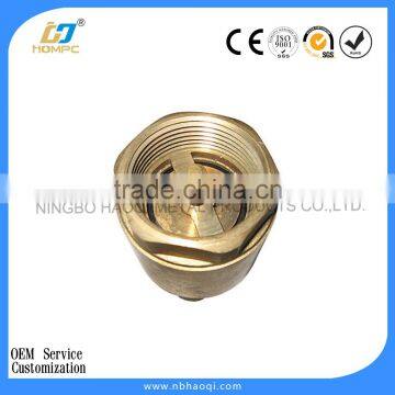 Europe type fuel check valve