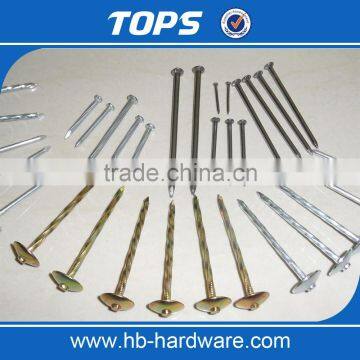 Different Types of Umbrella Roofing Nails With Good Price photo-5