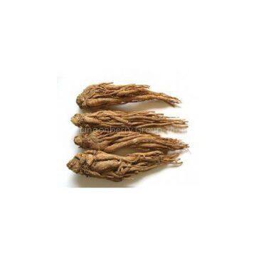 Angelica sinensis Extract