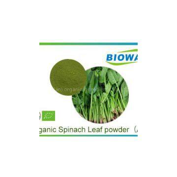 Organic Spinach Powder