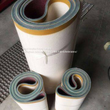 Battery Pasting Belts for Battery Factory photo-2